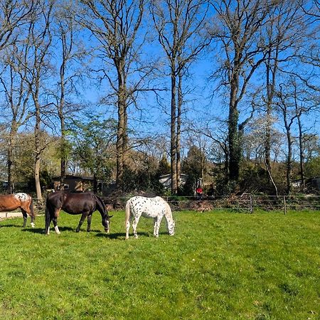Hotel Chique Chalet Met Zicht Over De Weilanden Op De Veluwe Эпе Экстерьер фото