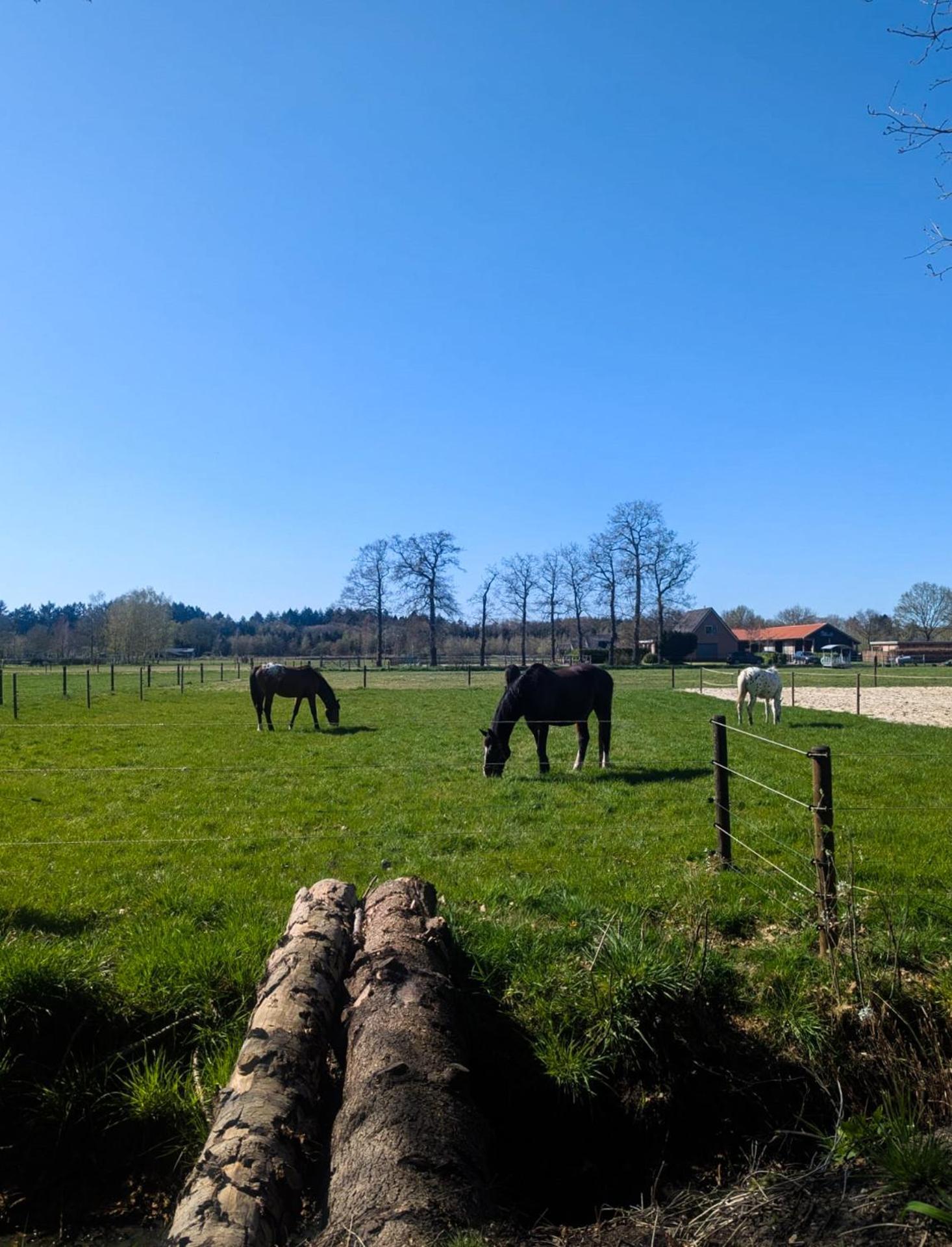 Hotel Chique Chalet Met Zicht Over De Weilanden Op De Veluwe Эпе Экстерьер фото